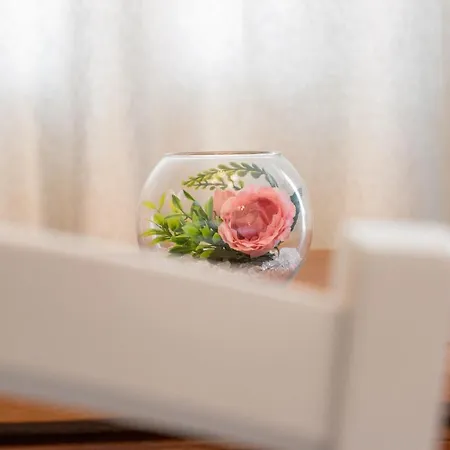 D'oro 4* 트로기르