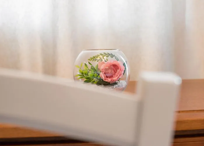 D'oro 4* Τρογκίρ